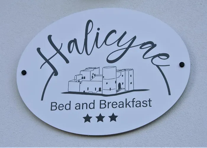 Halicyae Отель типа 